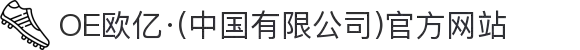 OE欧亿·(中国有限公司)官方网站